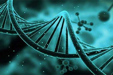 上海公立医院做人工受精前期检查大概多少钱？